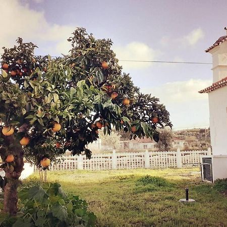 BeirãCasa Dos Coracoes - Turismo Regenerativoアパートメント エクステリア 写真
