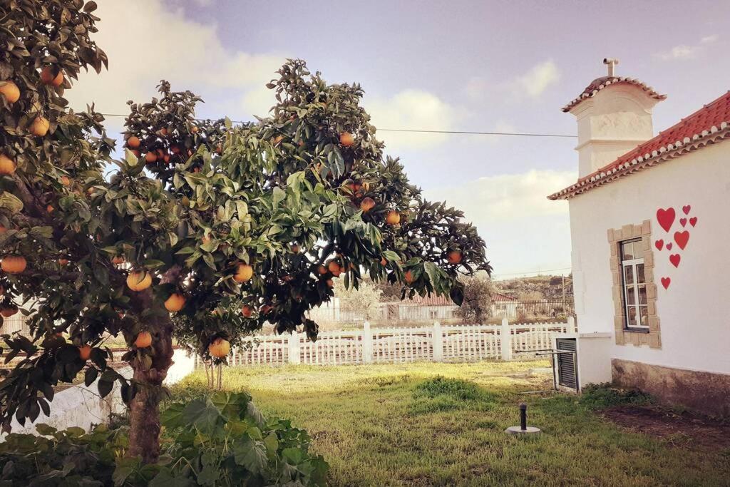 BeirãCasa Dos Coracoes - Turismo Regenerativoアパートメント エクステリア 写真